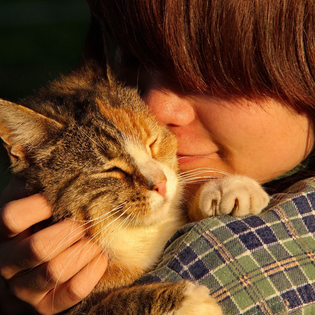 Coping With the Loss of Your Cat