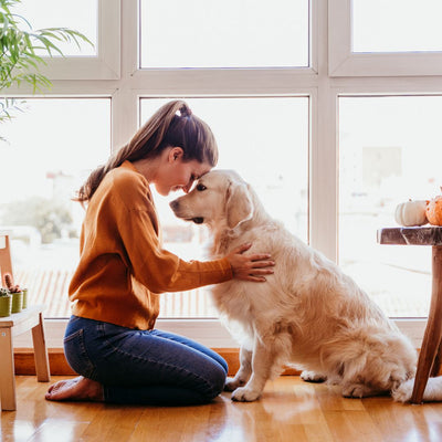 The Healing Power of Pet Companionship: Exploring the Physical and Mental Health Benefits