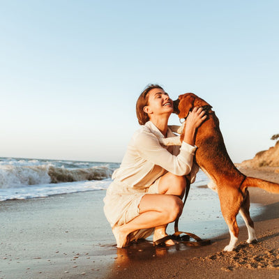 Keeping Your Canine Companion Happy and Healthy: Tips for Dog Exercise and Well-being