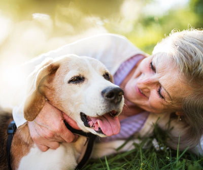 Navigating the Aging Journey: Understanding and Coping with Your Senior Dog's Changing Needs