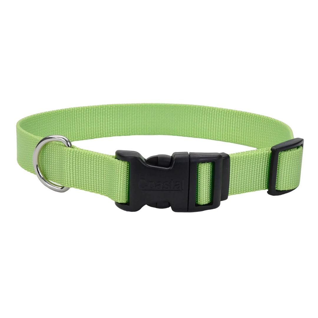 Coastal Adjustable Dog Collar with Plastic Buckle Whisker Fang