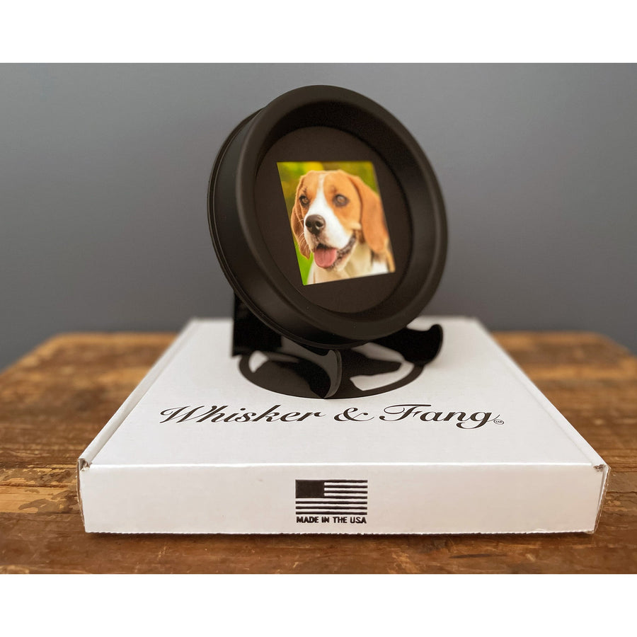 The Beagle | Frame and Stand Bundle - Whisker&Fang