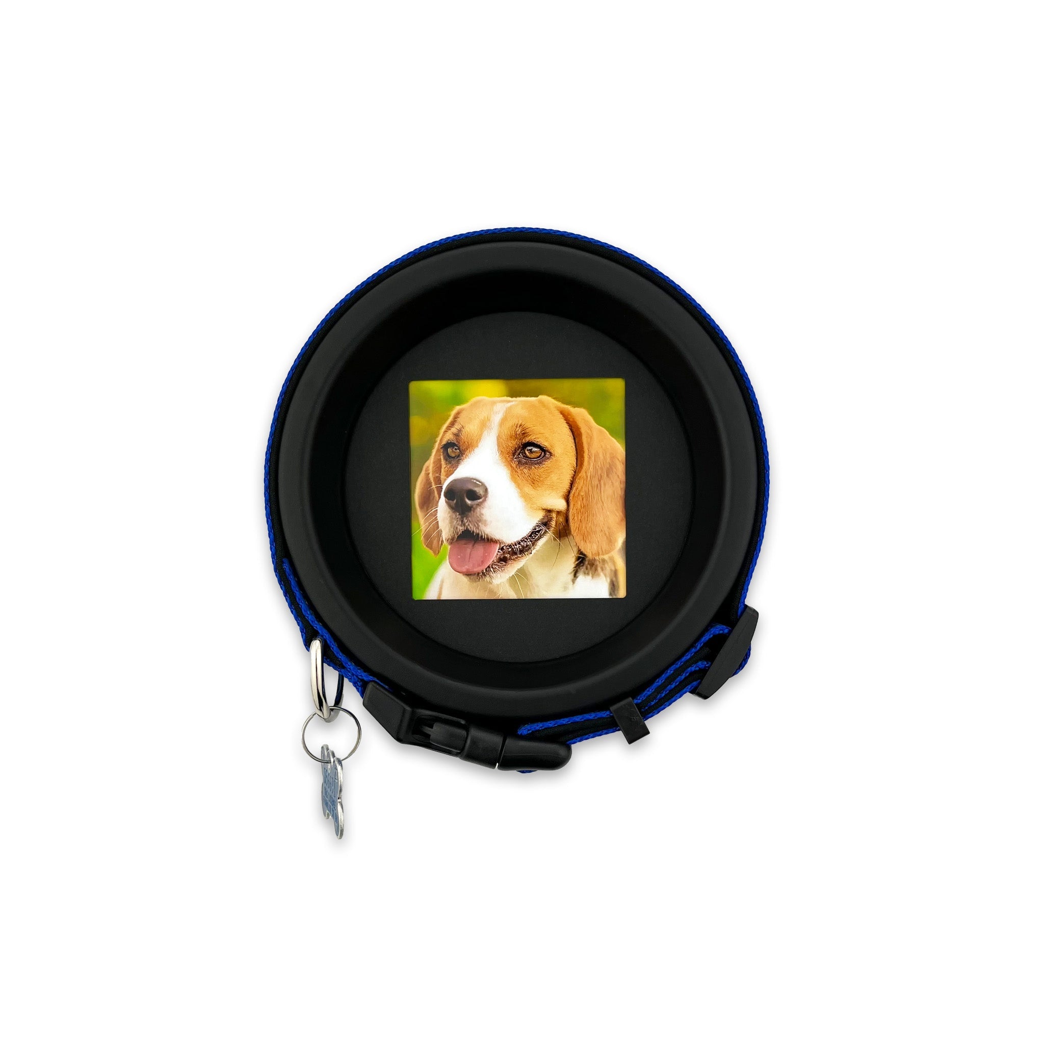 The Beagle | Halo Pet Frame and Collar Display - Whisker&Fang