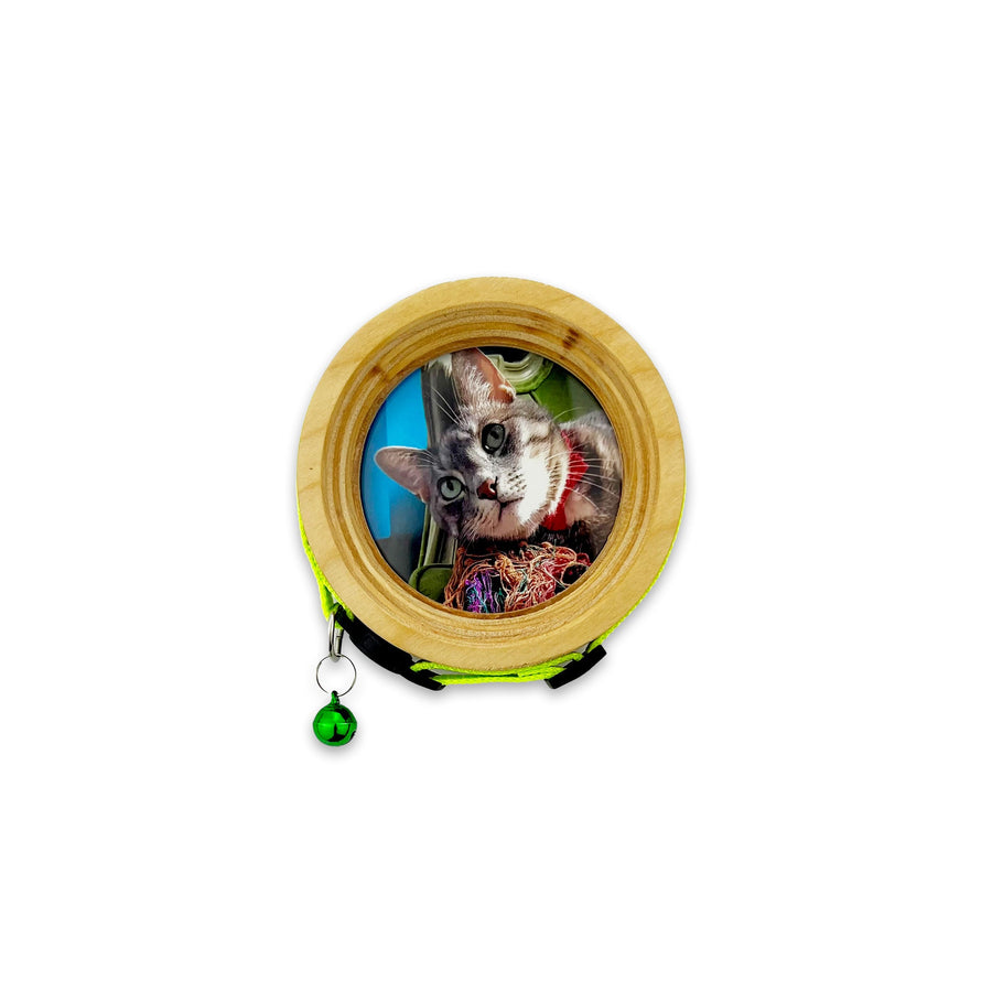The Garfield | Halo Pet Frame and Collar Display (Limited Edition Handmade Wood) - Whisker&Fang
