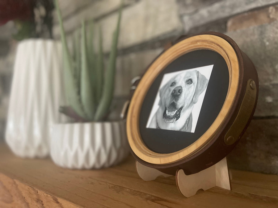 The Great Dane | Halo Pet Frame and Collar Display (Limited Edition Handmade Wood) - Whisker&Fang