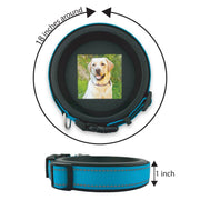 The Labrador | Frame and Stand Bundle - Whisker&Fang