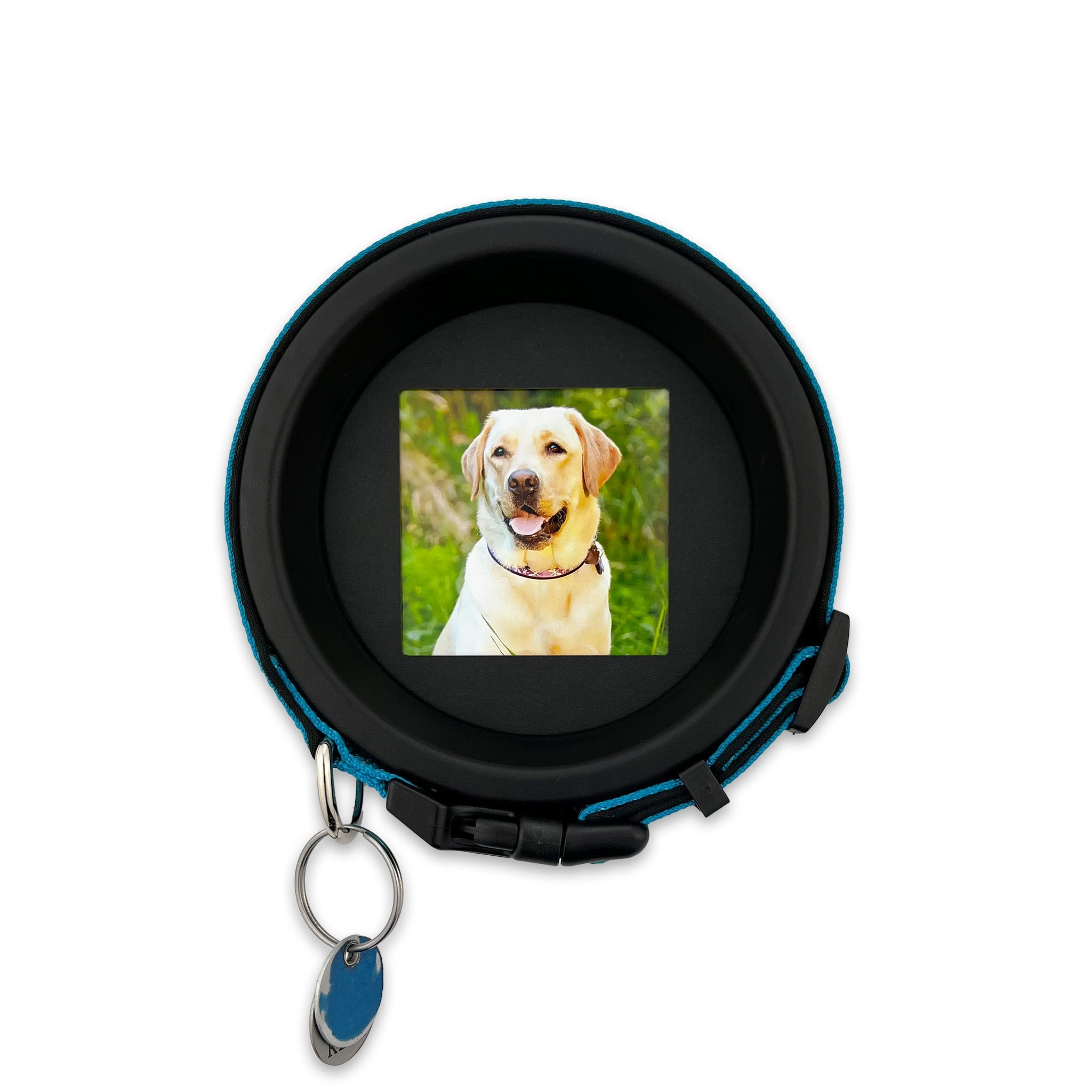 The Labrador | Halo Pet Frame and Collar Display - Whisker&Fang