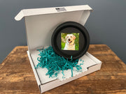 The Labrador | Halo Pet Frame and Collar Display - Whisker&Fang